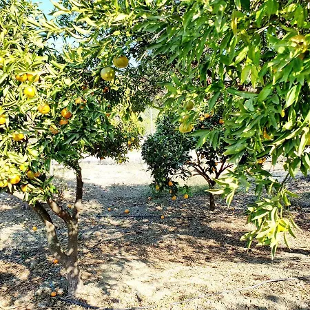 Casa Rural - Serrano House Vakantiehuis Málaga